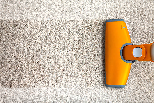 Unveiling the Smart Approach: Carpet Cleaning Mosman’s Guide to Carpet Cleaning Techniques