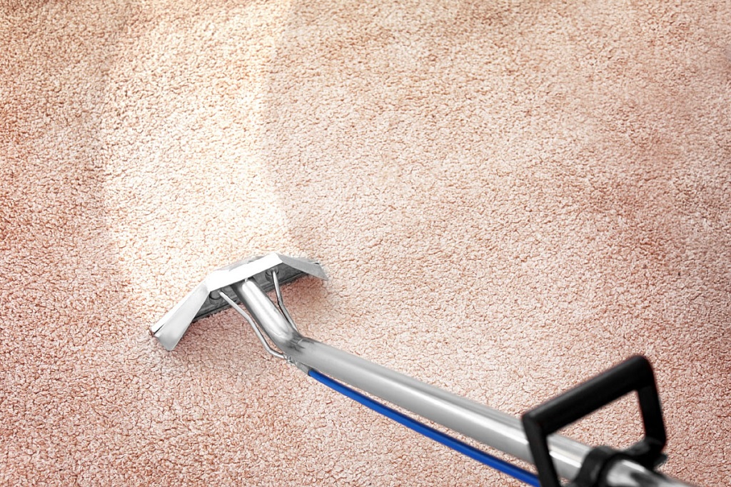 Importance of Regular Carpet Cleaning for North Shore Air Quality